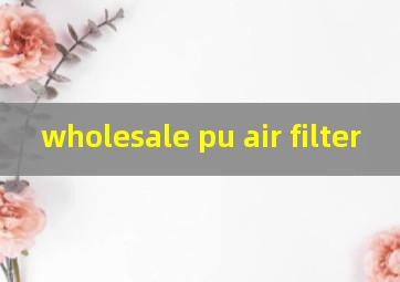 wholesale pu air filter